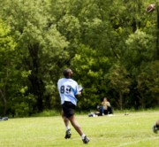 OTFL Gallery Image